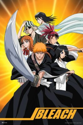 Bleach Collection