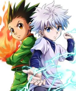 Hunter x Hunter Collection