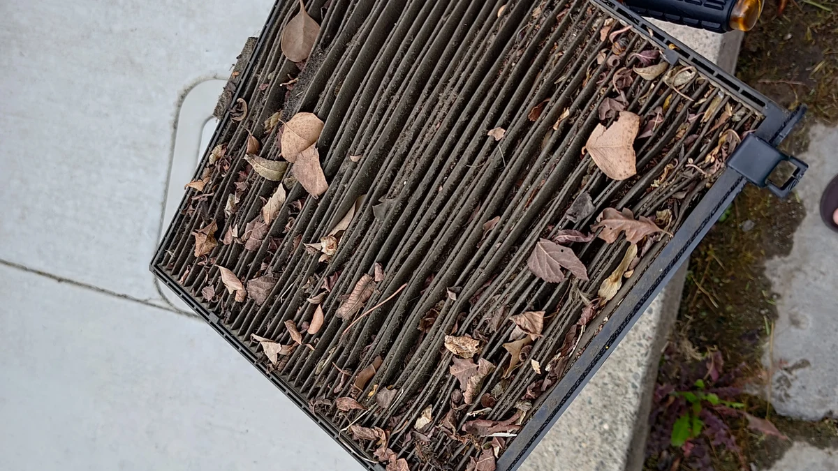 Car odor eliminator and cabin air filter replacement